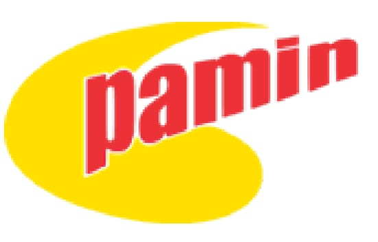⁠PT. Pacific Medan Industri (Pamin)
